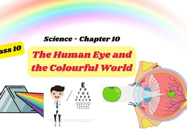 Class 10 Science - Chapter 10 The Human Eye and the Colourful World