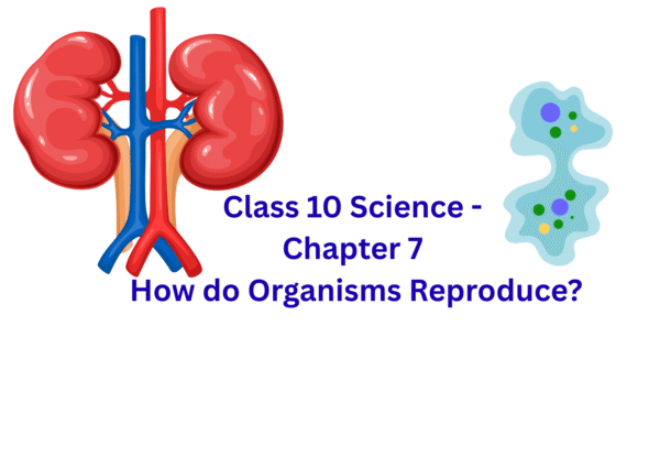 Class 10 Science Chapter 7