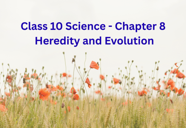 Class 10 Science Chapter 8