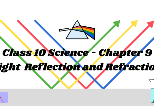 Light Reflection and Refraction