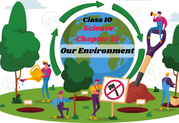 Our Environment
