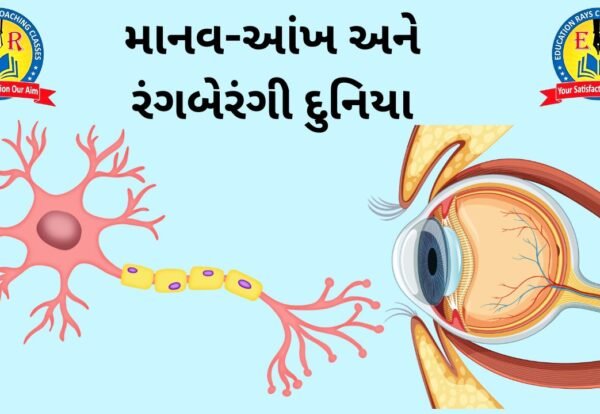 માનવ-આંખ અને રંગબેરંગી દુનિયા